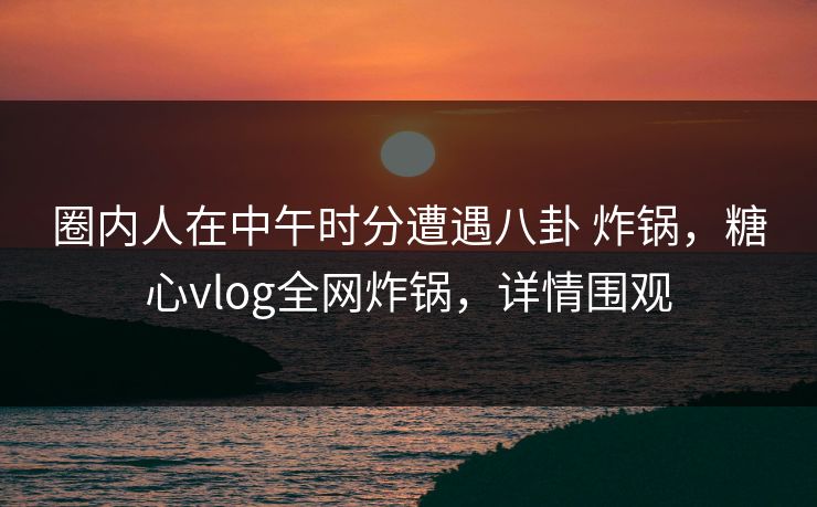圈内人在中午时分遭遇八卦 炸锅，糖心vlog全网炸锅，详情围观