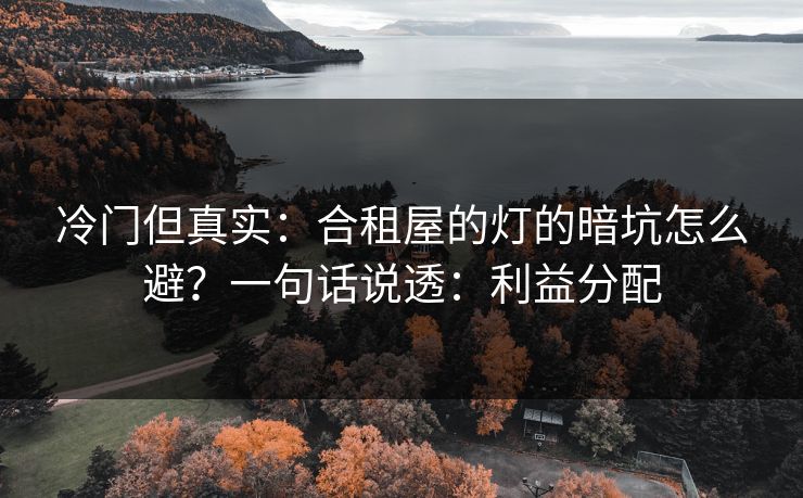 冷门但真实：合租屋的灯的暗坑怎么避？一句话说透：利益分配